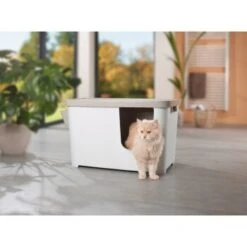 MORE FOR Katzentoilette XXL Titan -Heimtierbedarf Geschäft 331a65ecbdbda6a54304894f23caf93293414f9a 41a7dcb3b92b8da7531785b268f381c1b25bbf04