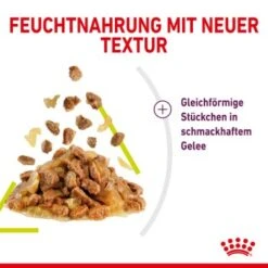 ROYAL CANIN SENSORY Smell In Gelee Für Wählerische Katzen 12x85g -Heimtierbedarf Geschäft 3469e2789c9f64bff26f87bbac39ba0a4ed440ea 45f33cf5dbb691236fc67f7b11a07842abb35bb4