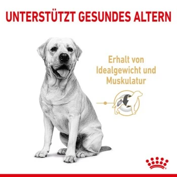 ROYAL CANIN Labrador Retriever 5+ Adult 12 Kg 6 ROYAL CANIN Labrador Retriever 5+ Adult 12 Kg – Bild 6