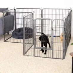 Lionto Freilaufgehege Welpen Gitterfreil 60 Cm, 1 Cm, 80 Cm -Heimtierbedarf Geschäft 36b609c51e916046b581efda5ea6811e2c829bd8 1498016 de DE 794da90c9076c5cc9e9eae67a633691d7c219be8EE6Vlo