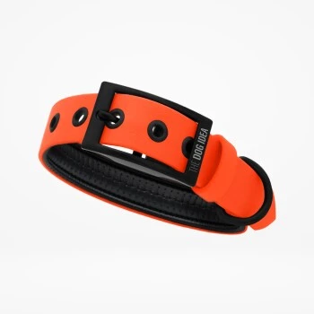 THE DOG IDEA Biothane Halsband Orange Neon Orange M 1 THE DOG IDEA Biothane Halsband Orange Neon Orange M