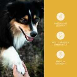 Mammaly Immu Push 110g -Heimtierbedarf Geschäft 38b7917670f59d2a88ff5d6635a04535121b1ee9 1472893 5