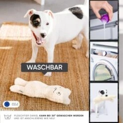 Freudentier Nachhaltiges Hundespielzeug Daniel 9 Freudentier Nachhaltiges Hundespielzeug Daniel -Heimtierbedarf Geschäft 399eb762da5db839e1d54b11a980f1adc24ffa3a 1408970 de DE 4fae29de579b316485a3de702f2c6d8ee3ac7b4f8TlZcj