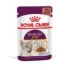 ROYAL CANIN SENSORY Taste In Soße Für Wählerische Katzen 12x85g