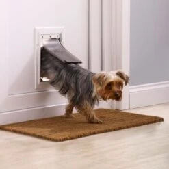 PetSafe Klappe Flexibel Mit Aluminiumrahmen S 6 PetSafe Klappe Flexibel Mit Aluminiumrahmen S -Heimtierbedarf Geschäft 3a4c2a19720a9a02b32c92c047cc7d6642c51178 c4fcf5d267163feee43df5581a8f62f90db05124
