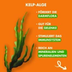 Irish Pure Trockenfutter: Irisches Freiland-Huhn Mit Gemüse & Kelp-Alge, Puppy 1,5 Kg -Heimtierbedarf Geschäft 3a8b16bee37c2618d3373fb52219bedb775214d7 1472290 de DE 263f707e10d7aabfff31e248a45885c71d456fb6Hu58bi