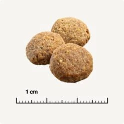 SELECT GOLD Light Medium Adult Huhn 4 Kg 12 SELECT GOLD Light Medium Adult Huhn 4 Kg -Heimtierbedarf Geschäft 3ac40a878e745f264b4acd423b6ddb7b1c90063c 1001492005 de DE 6