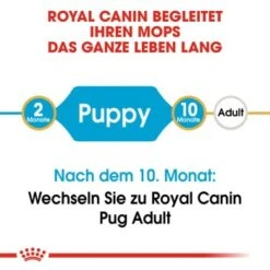 ROYAL CANIN Mops Puppy 1,5 Kg 17 ROYAL CANIN Mops Puppy 1,5 Kg -Heimtierbedarf Geschäft 3af85b5d68e2a2d838baf46d348bcc6f5c8cb3c0 9dd5ef32b5081e96ebcb60ff0f9e0f454f14f3ae