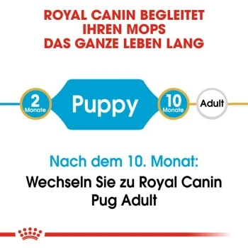 ROYAL CANIN Mops Puppy 1,5 Kg 9 ROYAL CANIN Mops Puppy 1,5 Kg – Bild 9