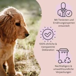 FAVLY Petfood Premium Naturkauartikel Rinderpansen 1,05 Kg 5 FAVLY Petfood Premium Naturkauartikel Rinderpansen 1,05 Kg -Heimtierbedarf Geschäft 3c7dea888d41e787be14f9a3e7d3063c7c5e0f1d 1475220 de DE a2c9f8d86d80fc90ca8f9c923a08051ec130ef8dgxl8xk