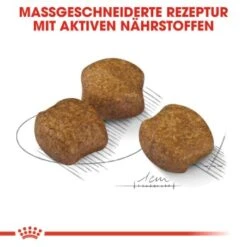 ROYAL CANIN Dental Care Medium 10 Kg -Heimtierbedarf Geschäft 3c9163aa3b07d845cbcc5eb723b3ddd67747426a a2132d6613df7f7492b95add4b789e51a14b74c4