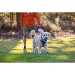 Ruffwear Huckama™ Spielzeug Violett 14 Ruffwear Huckama™ Spielzeug Violett -Heimtierbedarf Geschäft 3c9858f23e189df169fef8e6b079b9b80afe5185 1639706 de DE 22affde3e5114f0c2b5db19a77f0508968440a74megCgS