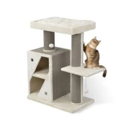 MORE Kratzbaum Edward 14 MORE Kratzbaum Edward -Heimtierbedarf Geschäft 3dbf59e3cce477fabe3045964c3b31542fd34f93 a301cd96a03fc3e3e31f0cea97769d1447bd4627