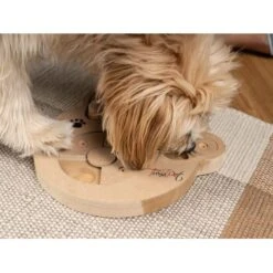TrendPet Intelligenzspielzeug Intelli -Heimtierbedarf Geschäft 3eb4d41034c0f3313929136157c4052ccd4ea926 1260161 de DE d146e7e756f1415d035fb0f48553c56a33aee61amIbGAB