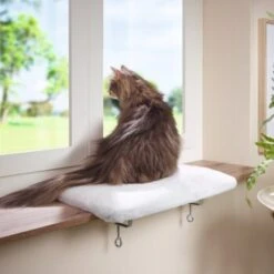 AniOne Fensterliegeplatz 6 AniOne Fensterliegeplatz -Heimtierbedarf Geschäft 3ed1f86bcd38eea7f6bb469869d0ceabbf14e73e 08d7fb7b3ea8513f40155b969787349e3e9059aa