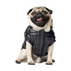 Canada Pooch Glänzende Pufferweste XXS 6 Canada Pooch Glänzende Pufferweste XXS -Heimtierbedarf Geschäft 3f39dd202240281d6a8313034415507d9f74aa31 11c6ae75a893f72a8c9fcd54083aee8fc460e2be