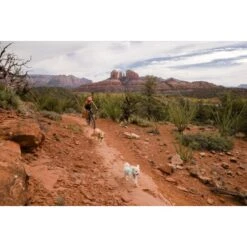 Ruffwear Swamp Cooler Zip™ Kühlweste Für Hunde Pink XL 19 Ruffwear Swamp Cooler Zip™ Kühlweste Für Hunde Pink XL -Heimtierbedarf Geschäft 3f53abbb449b533ae19bdcc983422a810c1a6523 1639652 de DE 69e04235fc73e7ad617b0a7c576e77147e0d0f9aiqnSME