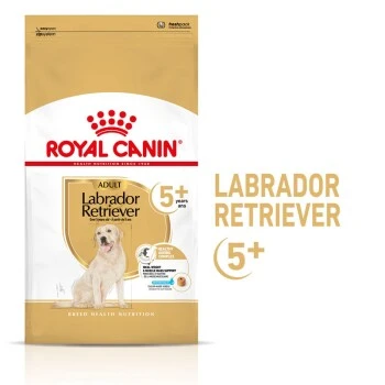 ROYAL CANIN Labrador Retriever 5+ Adult 12 Kg 2 ROYAL CANIN Labrador Retriever 5+ Adult 12 Kg – Bild 2
