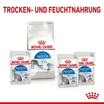 ROYAL CANIN Indoor Sterilised 12x85g In Gelee 3 ROYAL CANIN Indoor Sterilised 12x85g In Gelee – Bild 3