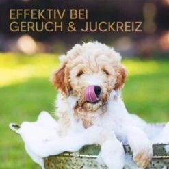 Pawlie's Welpenshampoo 11 Pawlie's Welpenshampoo -Heimtierbedarf Geschäft 42f9c58257fb2002e5c33c2d81bd829c9adeb1cc 1626204 de DE 8b17d3990cf88ea437c76c60b6848183bc9636a5a44ihJ