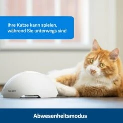 PetSafe Automatisches Katzenspielzeug Fox Den 10 PetSafe Automatisches Katzenspielzeug Fox Den -Heimtierbedarf Geschäft 436796eddc653fbc5ba6c19e00138d58f340ef52 1351524 de DE 2c07966cfa5d20e79e732d930dea56115af33e3axxjuix