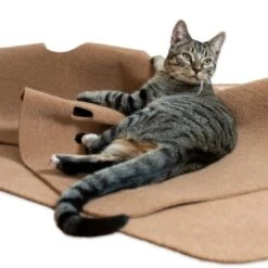 Canadian Cat Company Spielteppich Für Katzen Braun -Heimtierbedarf Geschäft 446d45749f5e58cb5a7dbc00eb3558dbe40784fe 1394213 de DE 80770b9625226d955903498b97e7018485822aeeDB3L2u