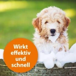 Ardap Anti Zecken Shampoo Für Hunde 250ml 11 Ardap Anti Zecken Shampoo Für Hunde 250ml -Heimtierbedarf Geschäft 45234aab493187b4f025c9c1611ba91401852a61 1289723 de DE 011c29b51870fd299b578444e9341eb4fefc30b304XMpl