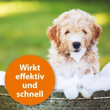 Ardap Anti Zecken Shampoo Für Hunde 250ml 5 Ardap Anti Zecken Shampoo Für Hunde 250ml – Bild 5