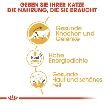 ROYAL CANIN Maine Coon 12x85g 5 ROYAL CANIN Maine Coon 12x85g – Bild 5