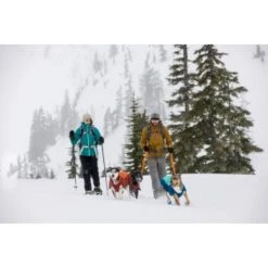 Ruffwear Vert™ Hundejacke Blau/ Türkis XS 19 Ruffwear Vert™ Hundejacke Blau/ Türkis XS -Heimtierbedarf Geschäft 4884d1fb308119bdbd85338ca39d0360fc2661ed 1369612 de DE 011ac430af1497c1c9abc3b9ca96058ddb34571cXmp5YY