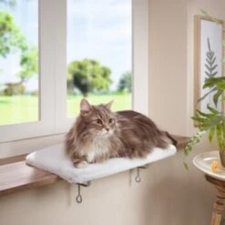 AniOne Fensterliegeplatz 7 AniOne Fensterliegeplatz -Heimtierbedarf Geschäft 48b4c875f72788d493de559eab0e5688d72d5fb7 b558c550dc7f6e4c2f13fbb0d43c30b225535e90