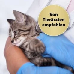 Felisept Home Comfort Beruhigungshalsband Für Katzen 8 Felisept Home Comfort Beruhigungshalsband Für Katzen -Heimtierbedarf Geschäft 49f63f3eec6617dbc795d98ab15477ddca010d3a 1238279 de DE Felisept 2