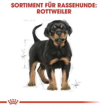 ROYAL CANIN Rottweiler Puppy 12 Kg 2 ROYAL CANIN Rottweiler Puppy 12 Kg – Bild 2