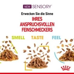 ROYAL CANIN SENSORY Smell In Gelee Für Wählerische Katzen 12x85g -Heimtierbedarf Geschäft 4a632532d23d065e189b82401db5c561b6749e74 bbe7e159ee2cfcc0155771b211da953377ec5c40