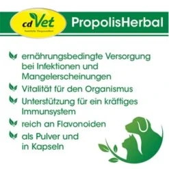 CdVet PropolisHerbal 20g 20 G 5 CdVet PropolisHerbal 20g 20 G -Heimtierbedarf Geschäft 4a7efe6ef39282013962edb4cdfff7ab064f50b7 1410702 de DE 9b563d2bb5da29720c09af2146e96e196b550558zVf5j7