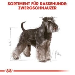 ROYAL CANIN Zwergschnauzer Adult 3kg 9 ROYAL CANIN Zwergschnauzer Adult 3kg -Heimtierbedarf Geschäft 4b254e5382fabcd23f48acb6657e77713d8a691f 070e96f3f4004e947ccdcc877c4e123371366cdd