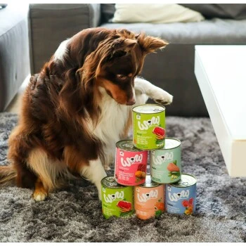 WOW Adult 6x800g Wild Mit Seealge 2 WOW Adult 6x800g Wild Mit Seealge – Bild 2