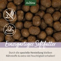 Aniforte Trockenfutter FarmsFamb - Herzhaftes Lamm Mit Süsskartoffeln 2 Kg 8 Aniforte Trockenfutter FarmsFamb - Herzhaftes Lamm Mit Süsskartoffeln 2 Kg -Heimtierbedarf Geschäft 4e3c35ffc0c054c4102b5accf282c65c1c508436 1500901 de DE c29ca4f47e2e982a347e331207c83ffa3c2740f8Zf6Mhc