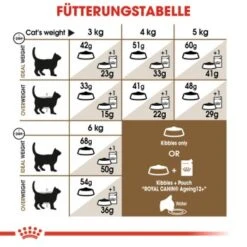 ROYAL CANIN Ageing 12+ 2 Kg 12 ROYAL CANIN Ageing 12+ 2 Kg -Heimtierbedarf Geschäft 50b3c838d5d21d1b917bd2a34ef54691565d1bd7 bd4918ff5f6d0c4d1cc754a091c66c5be6459815