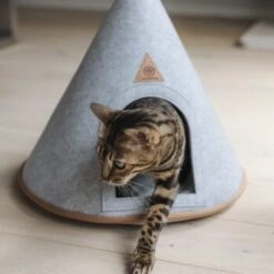 Canadian Cat Company Katzenzelt Cone 12 Canadian Cat Company Katzenzelt Cone -Heimtierbedarf Geschäft 5109d27ef761061b6b743871ab0498da3478f504 1394210 de DE f112ffaf078c6f8bf03764511a0d90aab2c21021HdDAgd