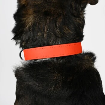 THE DOG IDEA Biothane Halsband Orange Neon Orange M 4 THE DOG IDEA Biothane Halsband Orange Neon Orange M – Bild 4