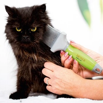 Moser Flexible Zupfbürste - Zweiseitig 3 Moser Flexible Zupfbürste - Zweiseitig – Bild 3