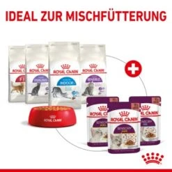 ROYAL CANIN SENSORY Taste In Gelee Für Wählerische Katzen 12x85g -Heimtierbedarf Geschäft 568b3c97dc75b630cb8553b47c690f1b60ec1147 2eb8c2e403a7d9180bf5ffc8ee25035aa1ddb615