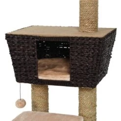 Europet Bernina Europet Kratzbaum Grenada -Heimtierbedarf Geschäft 57b4fe1263668d3b28bd8ad1ba159d2b5d8f74cd d36d01eb9524ab44314e624eaa1a446e2cba33a6