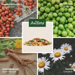 Aniforte Natur Nagerfutter 4,5kg 7 Aniforte Natur Nagerfutter 4,5kg -Heimtierbedarf Geschäft 5901586412fe1e9ad632ccdf05208e4ba1388e48 1472621 de DE cf989facad4c979f176b7bb81b5d1e46006eb324qQY3yn