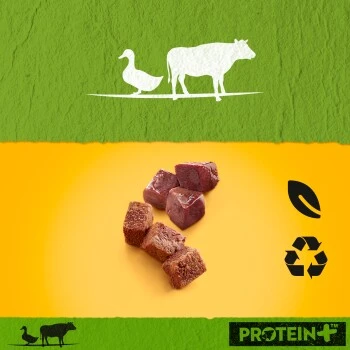 Pedigree Dose Protein+ In Pastete 12x800g Rind Mit Ente 3 Pedigree Dose Protein+ In Pastete 12x800g Rind Mit Ente – Bild 3