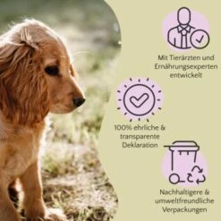 FAVLY Petfood PURE Bites Lamm 360 G -Heimtierbedarf Geschäft 5d7b6f7ff0cad3d69d8328aff31a8cc220780e0f 1474004 de DE cfc8e2f3174986d5e2d5f456c501da9d9b200fe9C0H0tH