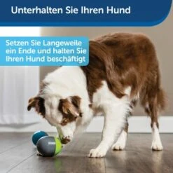 PetSafe Elektronisches Hundespielzeug Ricochet -Heimtierbedarf Geschäft 5eadda9b8e1c472d17e8160a968897c5f1589a26 1418724 de DE f0080b3bce77c44349e2b70b9453ceaf44e2d3d6nqnVTG