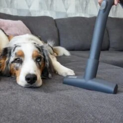 THOMAS Perfect Air Animal Pure 13 THOMAS Perfect Air Animal Pure -Heimtierbedarf Geschäft 603137fb8b3080096fe34bb0ce0b35713a0081ec 1406731 de DE 61ffd08a4c243aaa506c87a5b11107f7ffeaf308tEO6cw