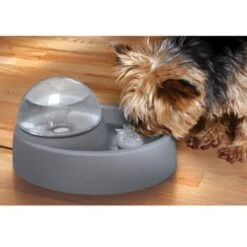 Numaxes Eyenimal Trinkbrunnen 1,5l 6 Numaxes Eyenimal Trinkbrunnen 1,5l -Heimtierbedarf Geschäft 612512ae3e55fd25731acfc2a0abcdc5bfeba8fb b7754bc2b320ccef10b70045a810474d6996a8cb